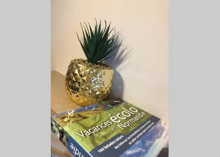 アパート 24 - Coucher De Soleil & Vue クルル・シュル・メール